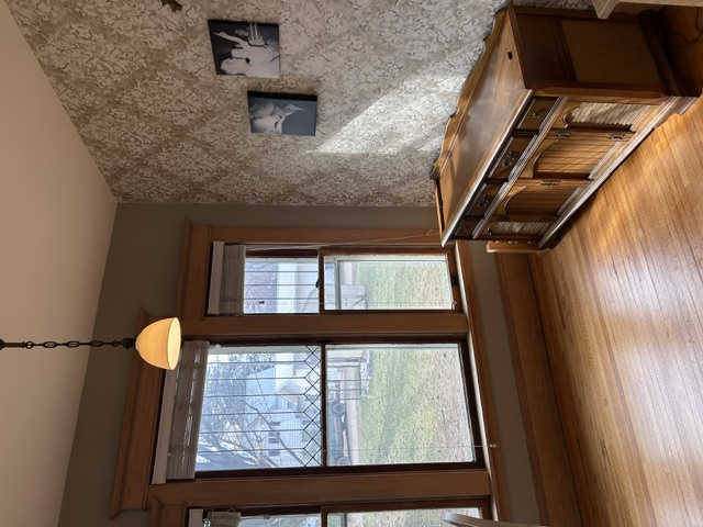image5.jpg